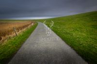 liane-metzger-lmfoto-fotografie-sylt4