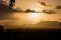 liane-metzger-lmfoto-fotografie-fuerteventura1