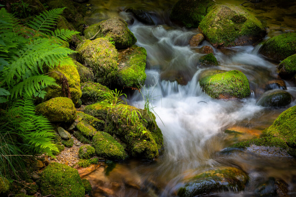 10.04.2027 - Wildromantisches Grobbachtal & Geroldsauer Wasserfall, Baden-Baden