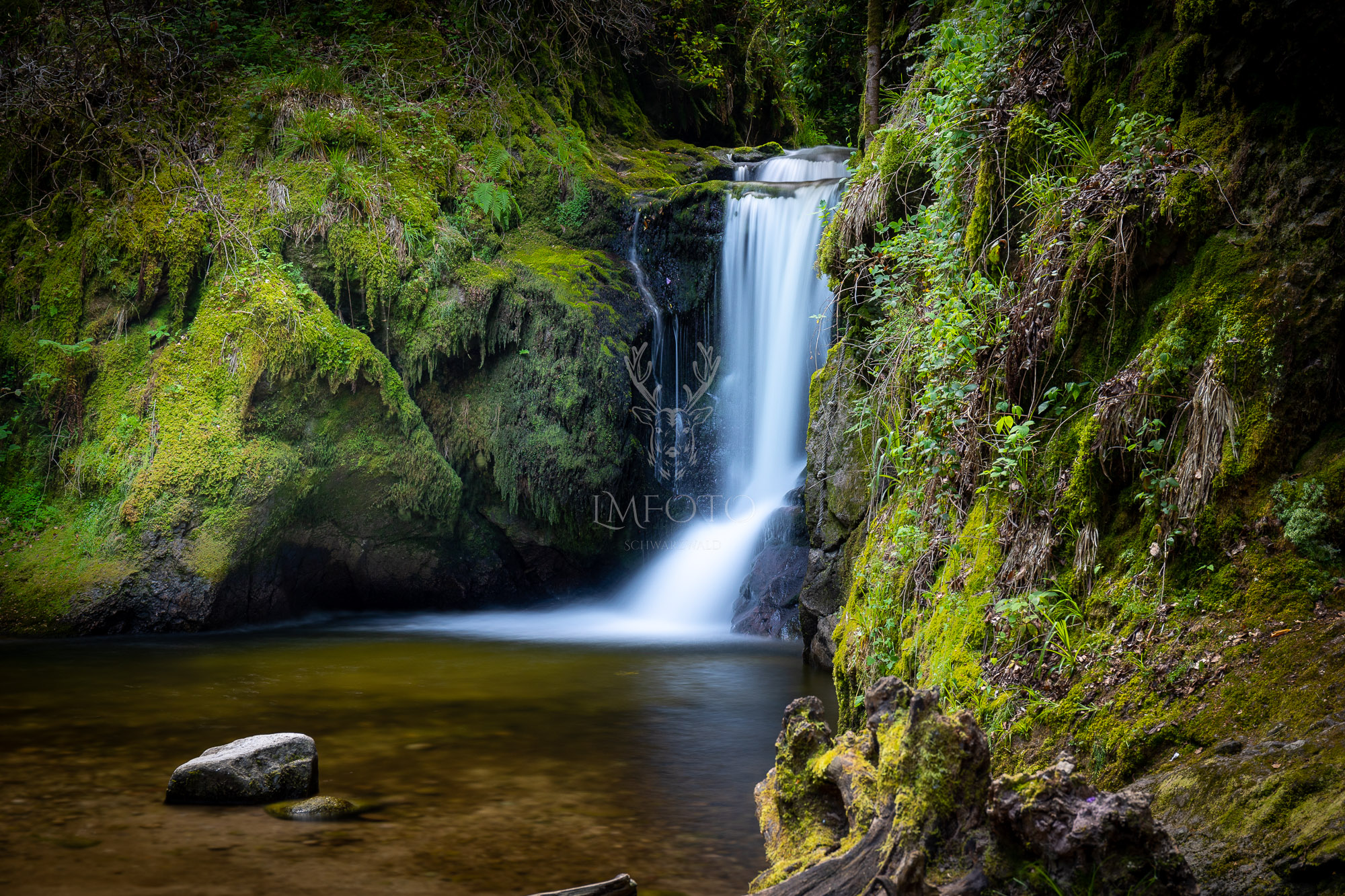 12.06.2027 - Wildromantisches Grobbachtal & Geroldsauer Wasserfall, Baden-Baden