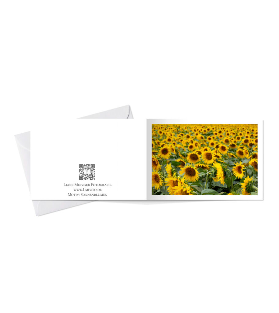 Sonnenblumen