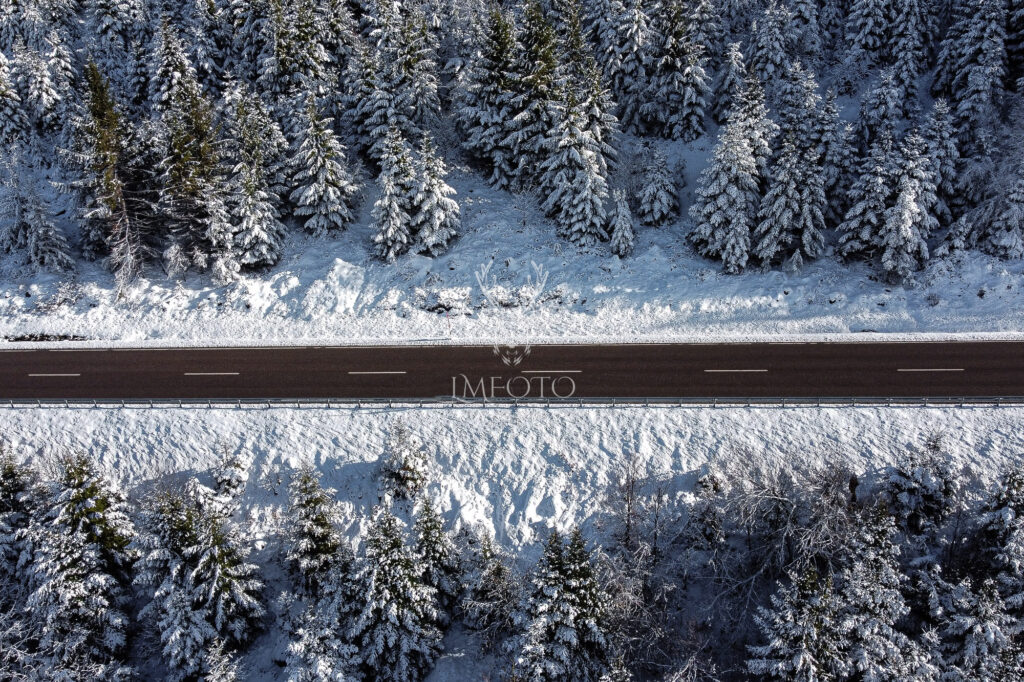 Strasse durch den Winterwald