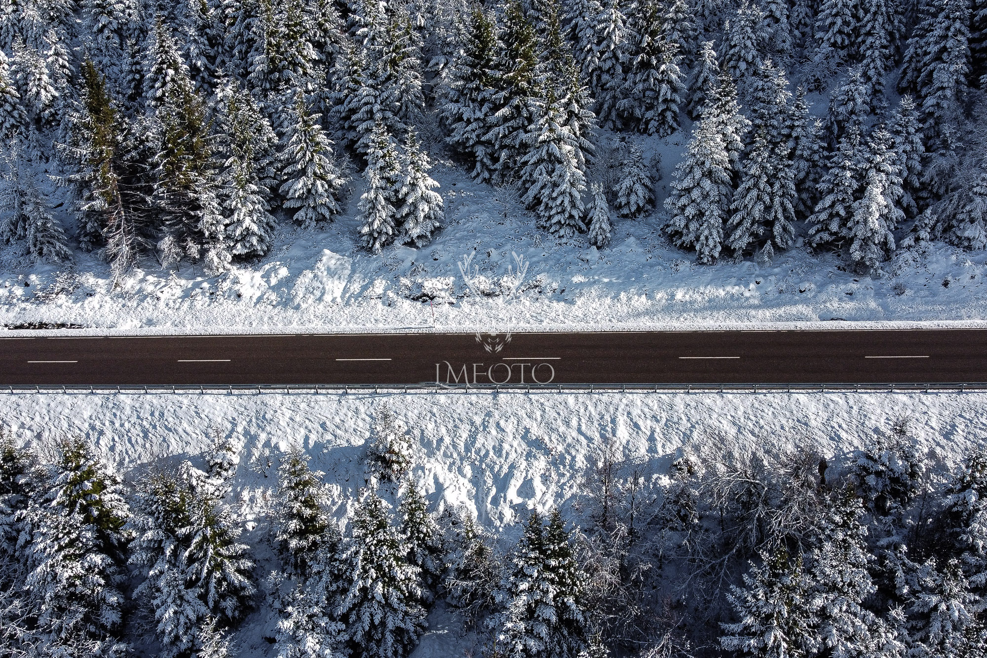 Strasse durch den Winterwald