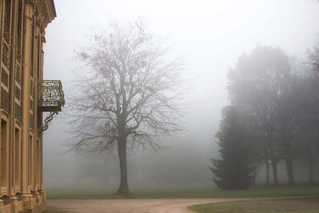 07.11.2026 - Smartphone-Fotoworkshop Rastatt Schloss Favorite