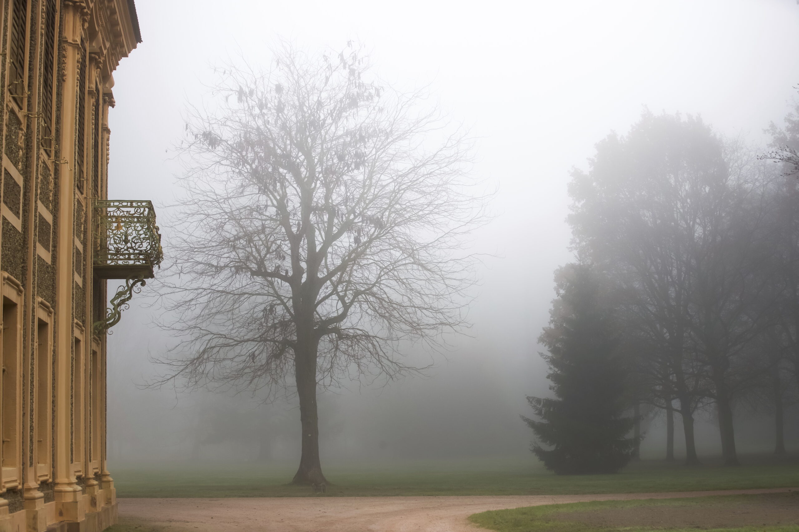 07.11.2026 - Smartphone-Fotoworkshop Rastatt Schloss Favorite