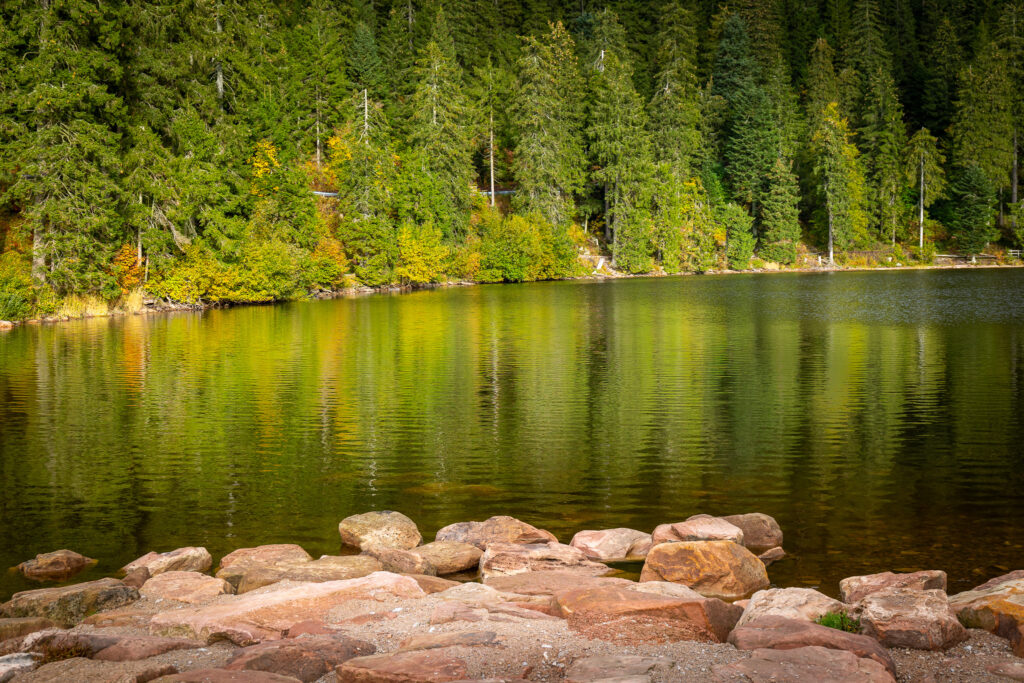 16.05.2027 - Morgenstimmung am Mummelsee, Seebach